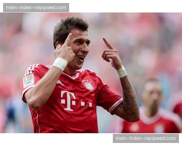 柏林赫塔新主场建设工程因环保评估延期，启用时间推迟